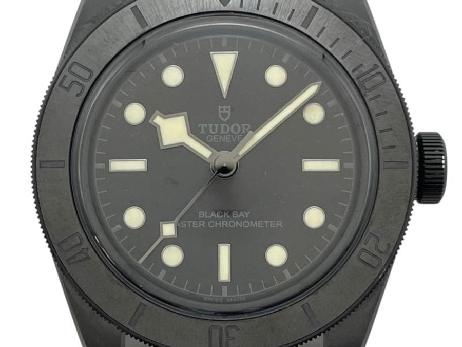Tudor Black Bay 79210CNU
