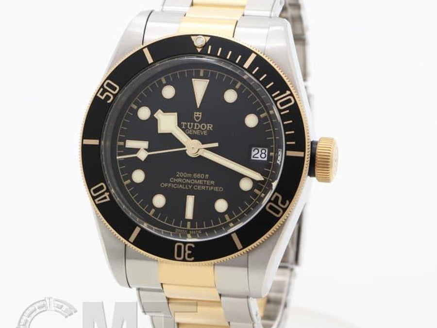 Tudor Black Bay 79733N