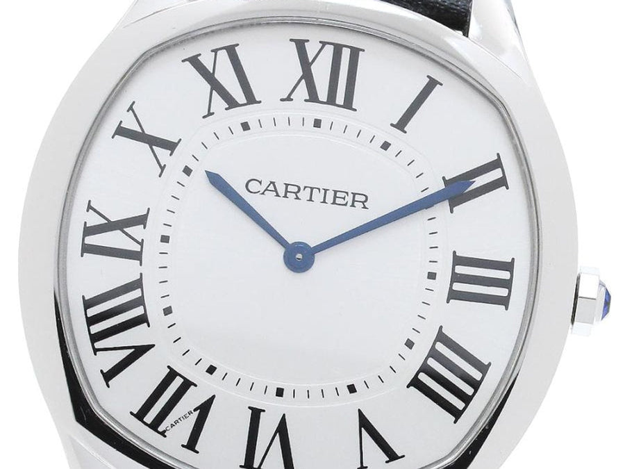 Cartier Drive de Cartier WSNM0011